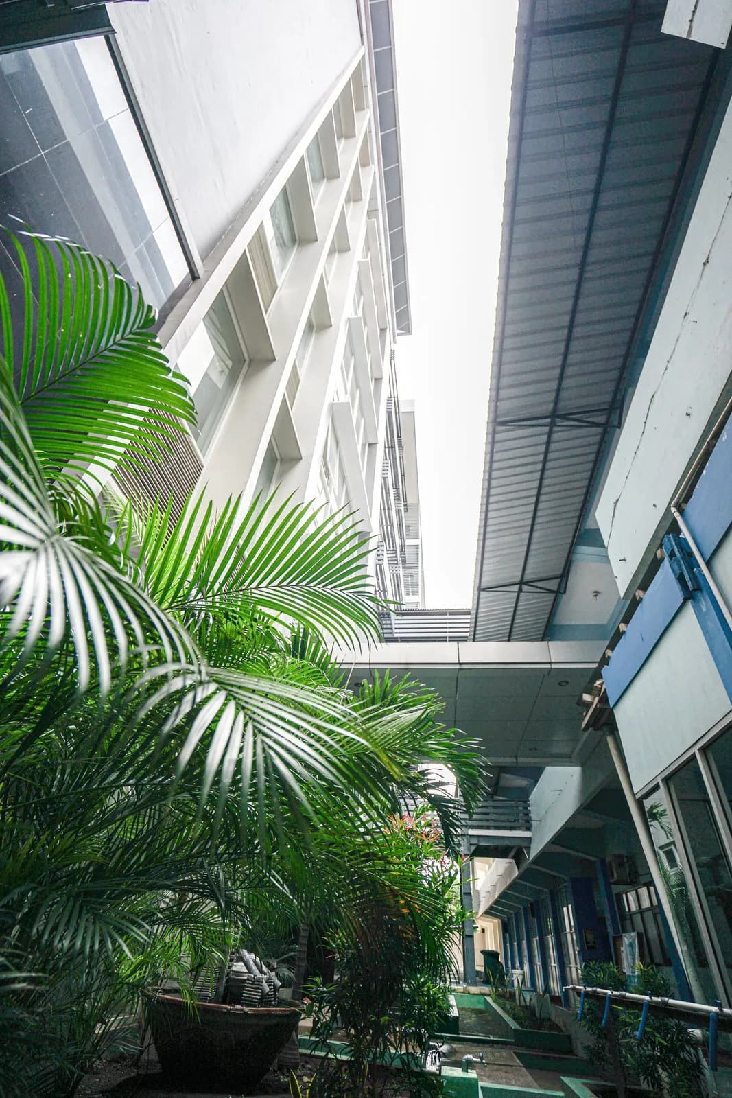 Taman di antara gedung kampus